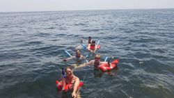 Five people enjoying cruises, fishing, and tours in FL