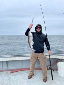 Man catching Atlantic cod!