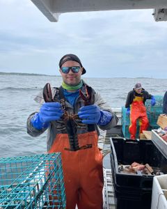 Catching lobster off the Gloucester coast.