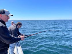 Two anglers patiently waiting for a fish catch.