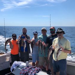 5 Brown Bullhead fish caught in MA