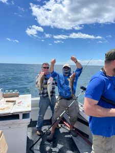 Photograph of an Atlantic Cod fish caught by two people fishing in Gloucester