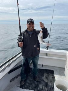 Fishing in MA with 1 fish