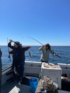 Fisherman in Gloucester enjoying a great day of fishing