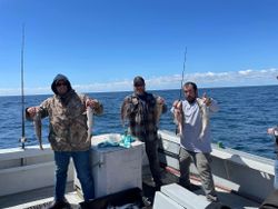 5 fish caught on fishing trip in Gloucester