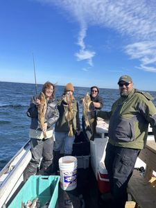 Two big fish caught in Gloucester by fishermen