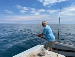 Angler fishing in Gloucester