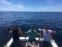 4 big fish caught by 3 people in Gloucester