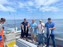 3 big fish caught by 4 people in Gloucester