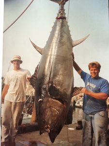 Fishing for a king mackerel, 76 inches, in Gloucester