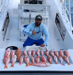 5 fish caught in PR with fishing gear