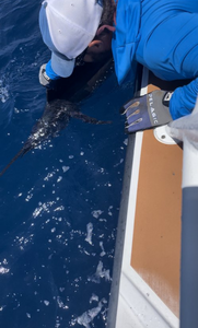 Fishing in PR with the best and greatest catches