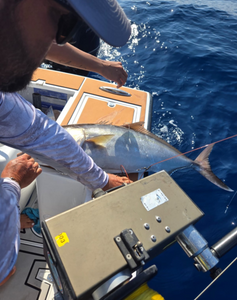A beautiful day fishing in San Juan