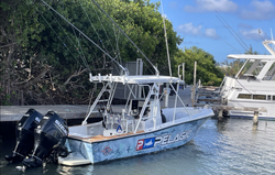 Scenic view of San Juan coastline with fishing boats