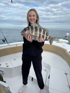 Pretty Sheepshead off the Georgia coast