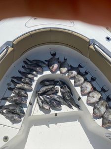 Georgia coast fishing vibes