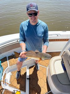  Redfish action inshore today