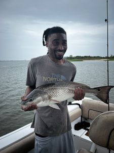 Fish-Species
