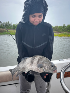 Nice black drum caught using deep sea jigging and light tackle in Savannah waters!