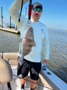 Nice black drum caught using light tackle techniques near the dock!