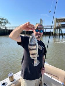 Nice black drum using deep sea jigging and light tackle in Savannah!
