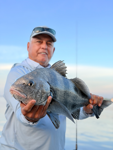 Nice black drum caught using deep sea jigging and trolling in Savannah!
