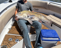 Nice black drum caught using deep sea jigging and trolling techniques!