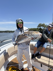 Nice black drum using deep sea jigging and light tackle techniques in Savannah waters.