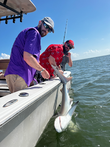 Nice bonnethead caught using deep sea jigging and light tackle near Savannah!
