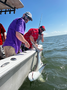 Nice bonnethead on light tackle using deep sea jigging in Savannah!