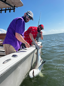 Nice bonnethead on light tackle using deep sea jigging!