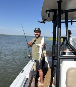 Bonnethead shark caught during cruises, fishing, and tours in GA