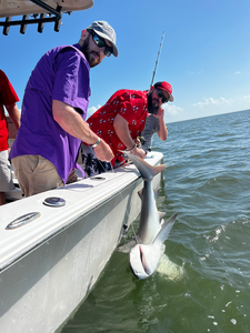 Nice bonnethead shark using deep sea jigging and light tackle in Savannah!