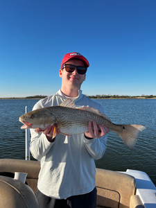 Caught a beauty by the lake!