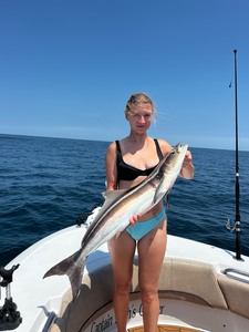 Nice cobia using deep sea jigging and trolling with light tackle!