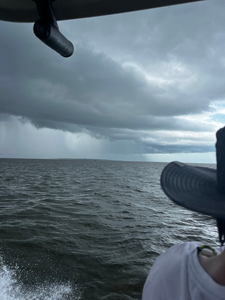 Perfect conditions for deep sea jigging and light tackle fishing off Savannah.