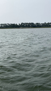Perfect conditions for deep sea jigging and trolling with light tackle setup.