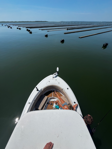 Perfect conditions for deep sea jigging and trolling with light tackle near the aquaculture farms.