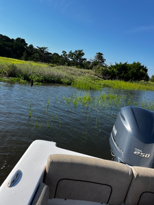 Perfect conditions for deep sea jigging and trolling in Savannah waters.