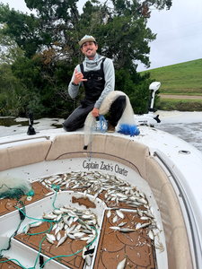 Great day on the water using deep sea jigging and light tackle techniques. The deck tells the story!