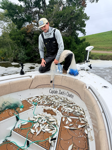 Great day on the water using deep sea jigging and light tackle techniques!