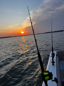 Perfect evening setup for deep sea jigging and trolling with light tackle.