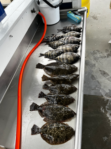 Great day targeting flounder using deep sea jigging and trolling techniques!