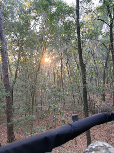 Perfect fishing path through the forest canopy - deep sea jigging and light tackle ready for the best adventure ahead!