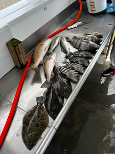 Blasted today with redfish, summer flounder, and speckled trout using deep sea jigging and trolling techniques!