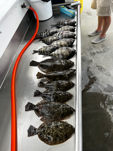 Nice mixed bag of flounder using deep sea jigging and light tackle in Savannah!