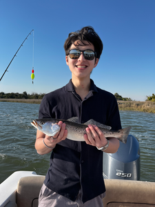 A peaceful day out fishing on the lake.
