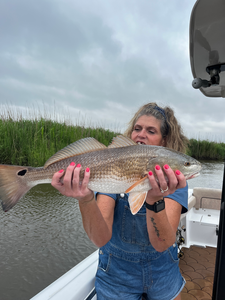 Nice redfish caught using deep sea jigging in Savannah! Light tackle made it an exciting fight.