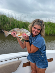 Nice redfish using deep sea jigging in the shallows today!