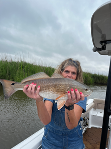 Nice redfish using deep sea jigging and light tackle techniques!